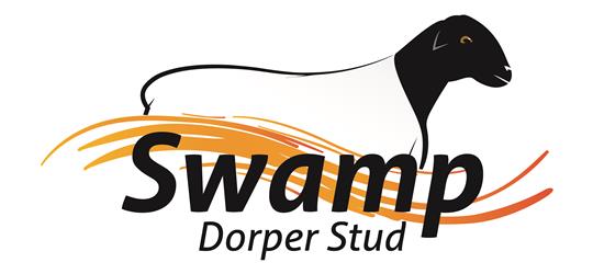 Auction Logo