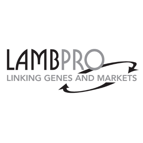 Lambpro