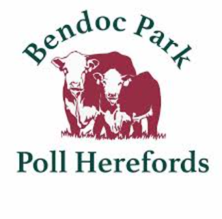 BENDOC PARK POLL HEREFORD BULL SALE - Auction 124182 | AuctionsPlus