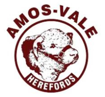 Amos Vale Mascot V110 (Hcr) (H) (Amos-Vale)
