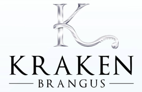 KRAKEN MISS SAPPHIRE IV 007T1 (PP) (Kraken Brangus)