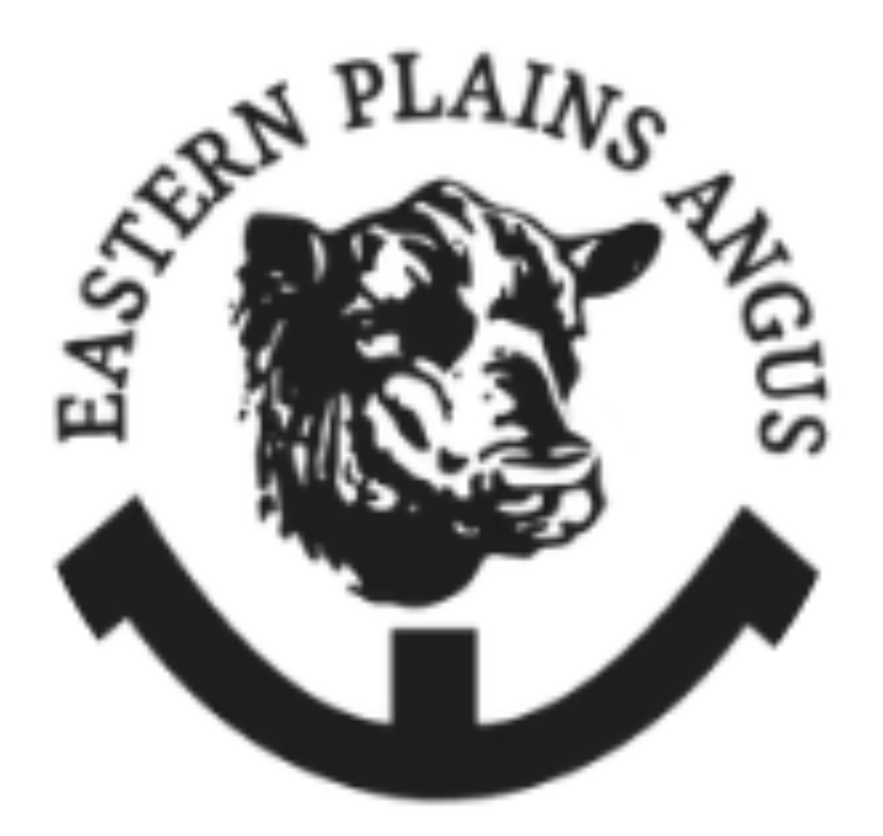 053 · EASTERN PLAINS VYRONAS V96