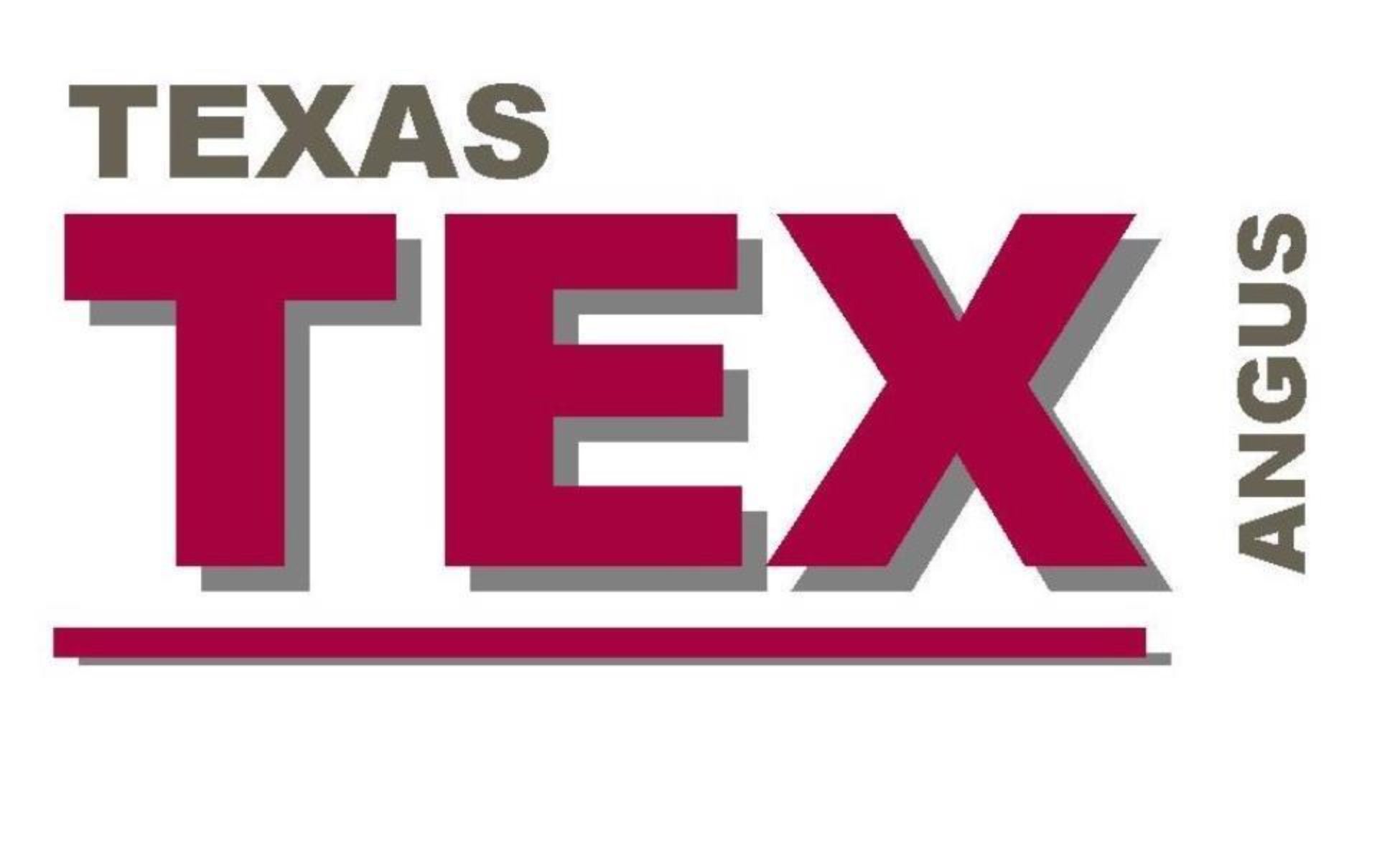 Lot 181 · TEXAS TOPPER W0092