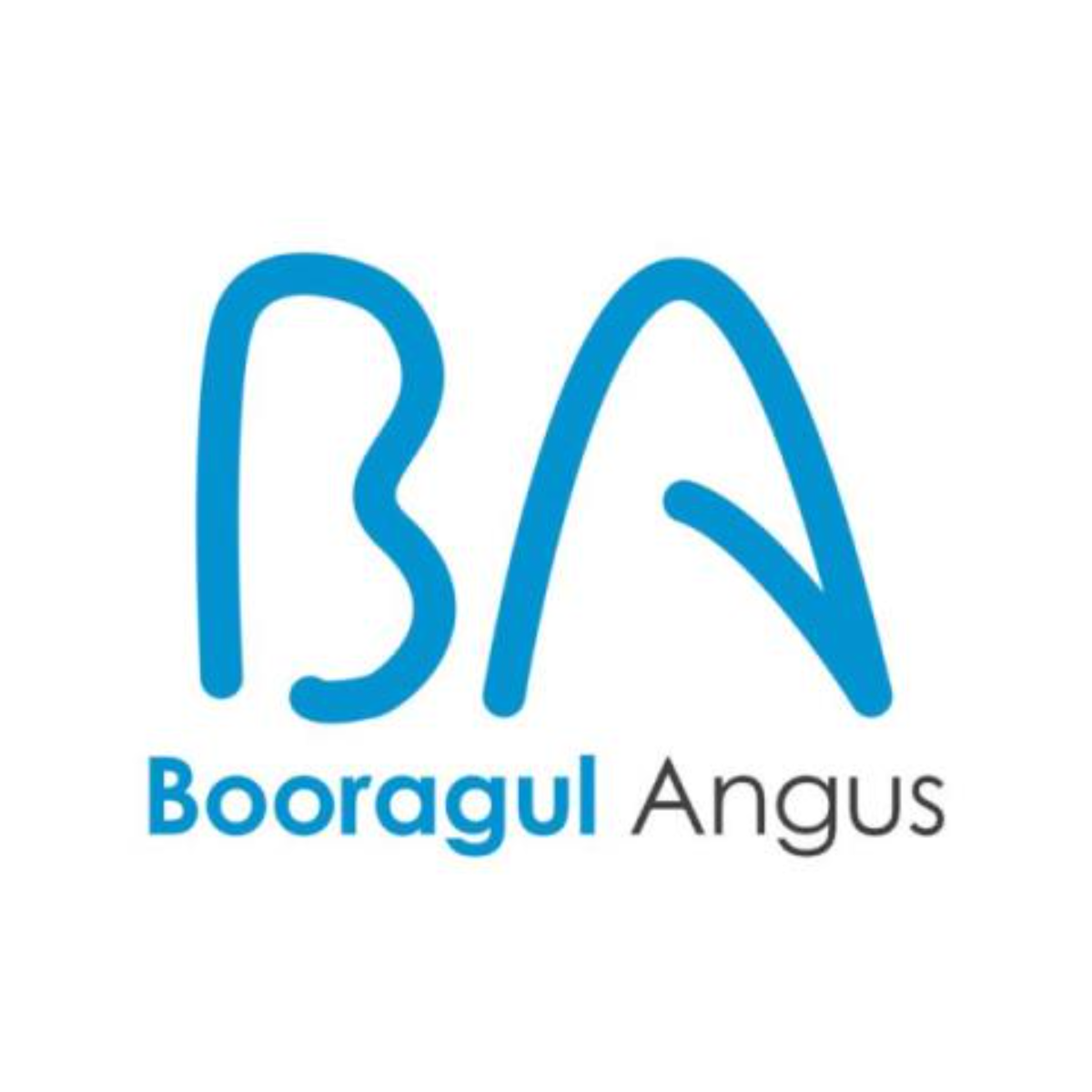 068 · BOORAGUL SO RIGHT V205