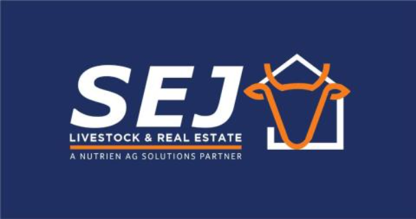 3pl Blade