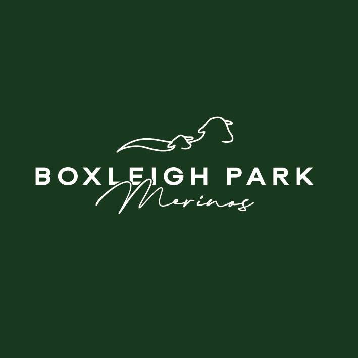 Boxleigh Park Merinos