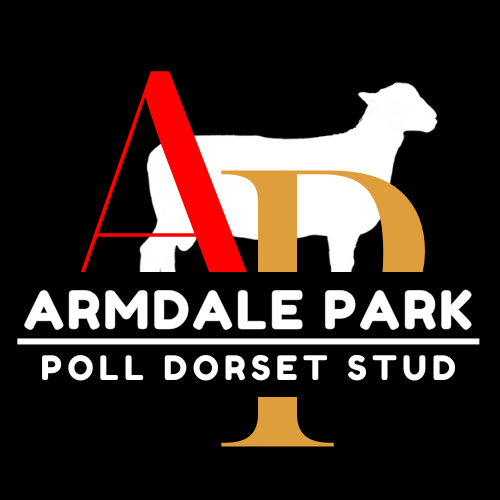 Armdale Park Poll Dorset