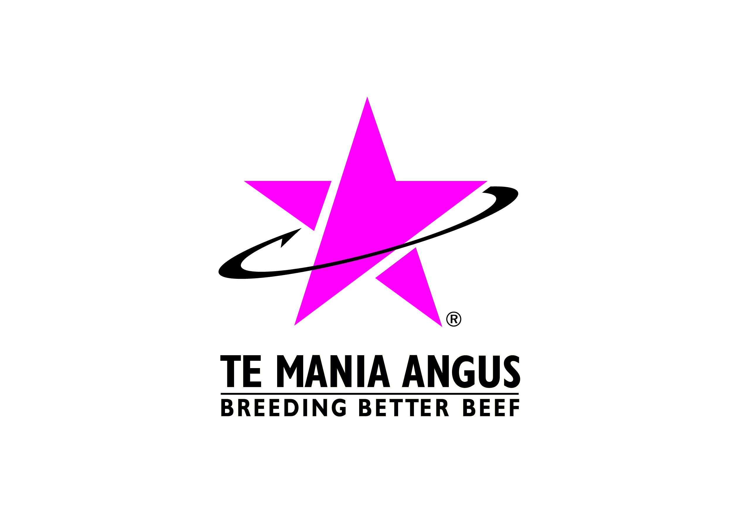 Te Mania Angus
