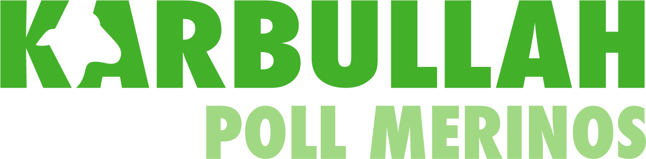 Karbullah