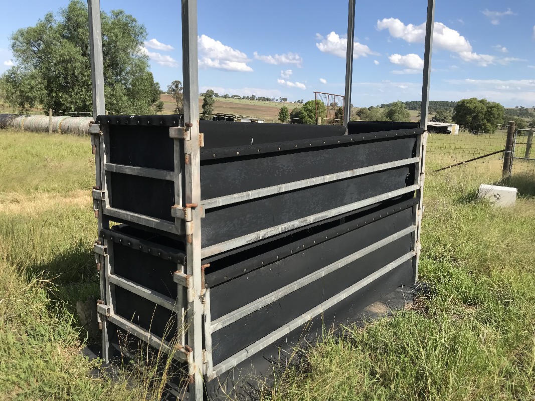 Lot 42 Horse crush AuctionsPlus