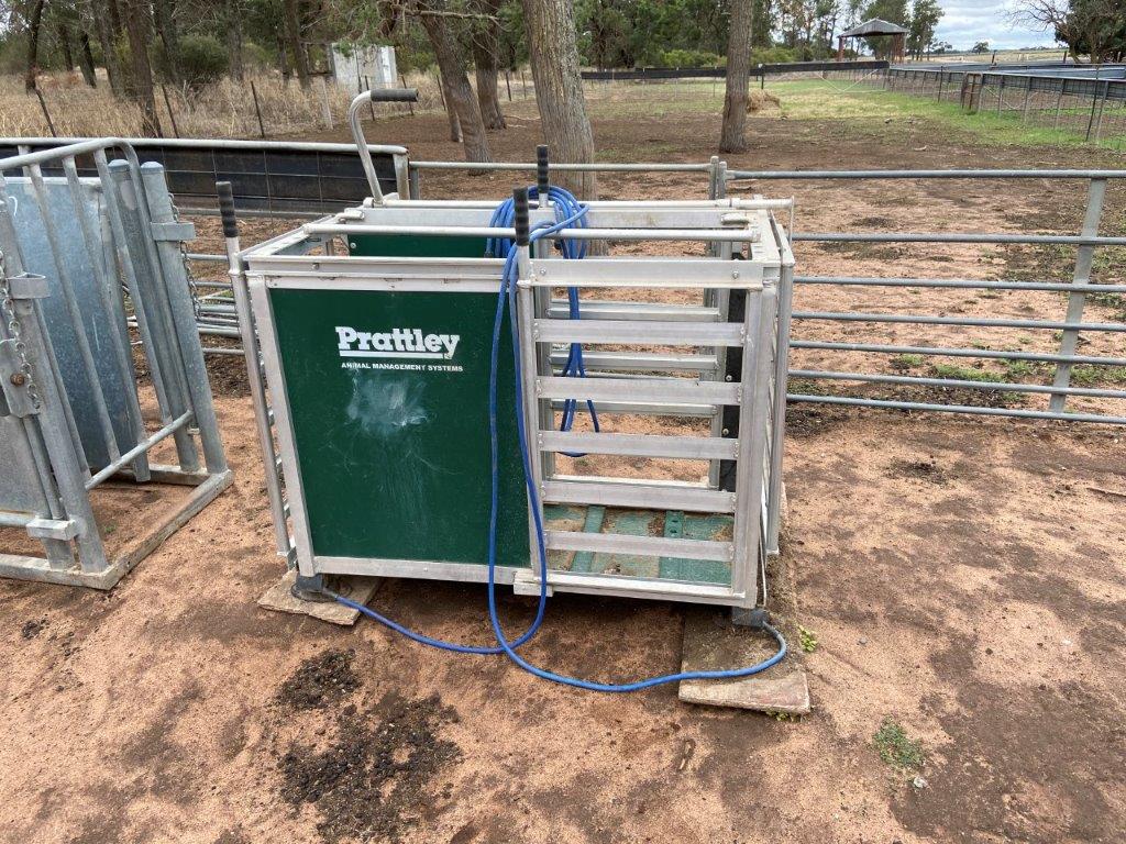 Lot 59 Pratley Sheep Scales AuctionsPlus