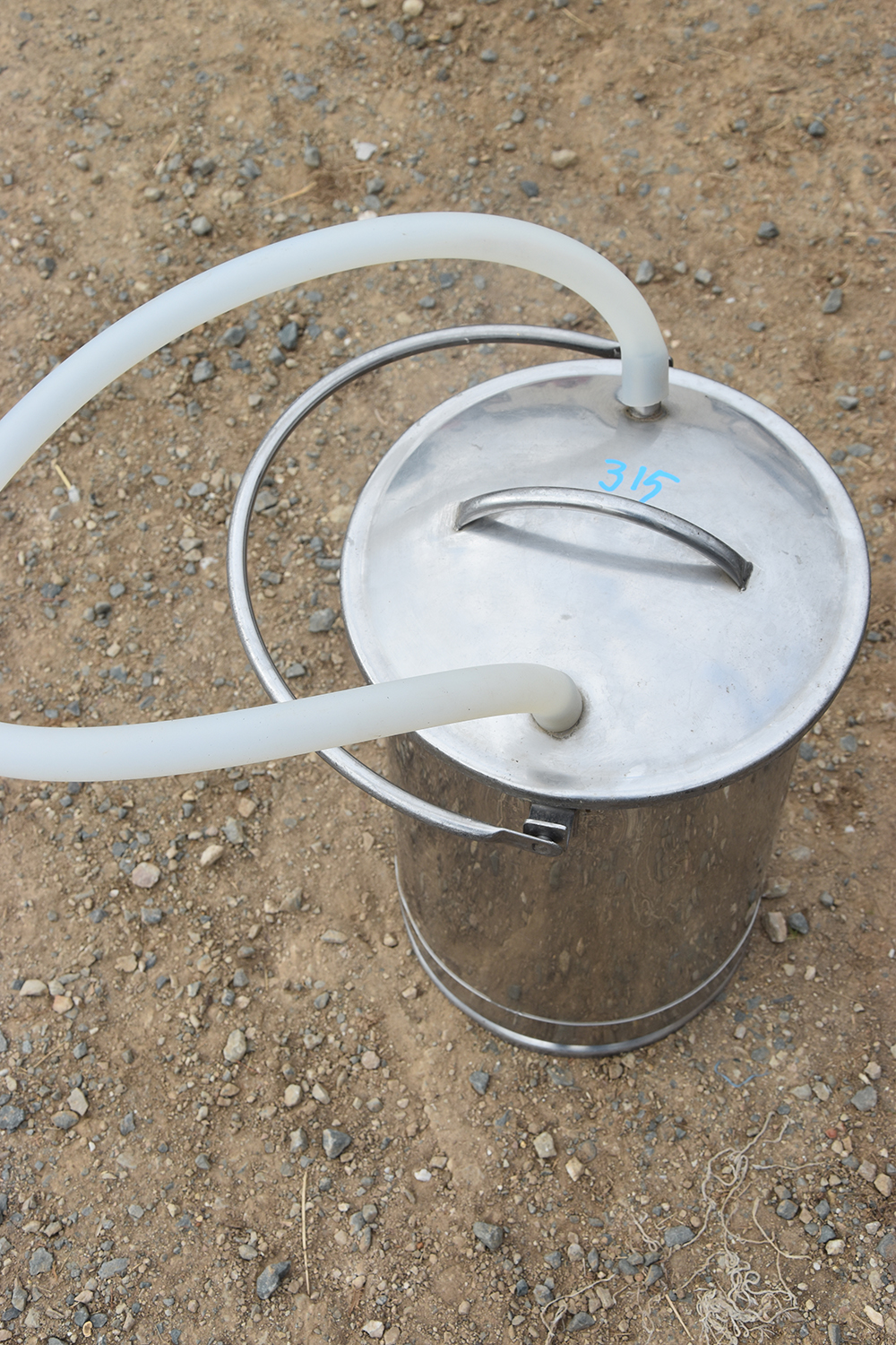 Lot 315 Test bucket AuctionsPlus