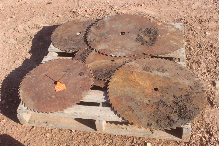 lot-530-7-x-antique-saw-blades-auctionsplus