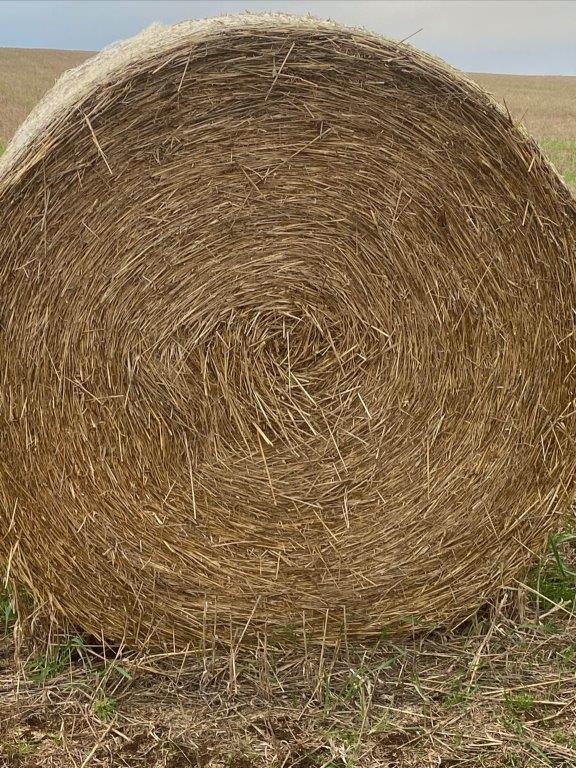 Lot 88 70 bales oat straw AuctionsPlus