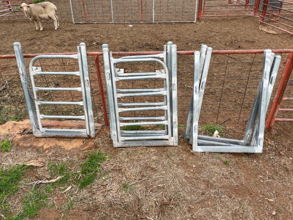 Lot 70 3 x sheep yard gates & 3 x gate frames, 600 wide x 1000 high