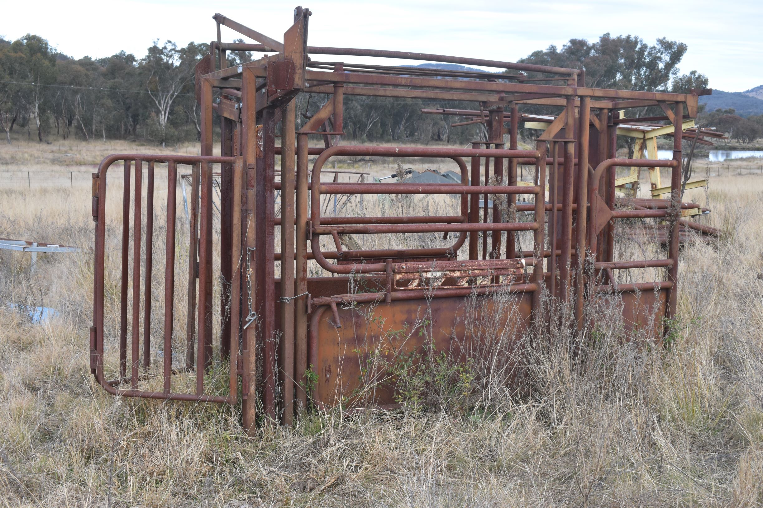 Lot 83 RPM Cattle crush AuctionsPlus