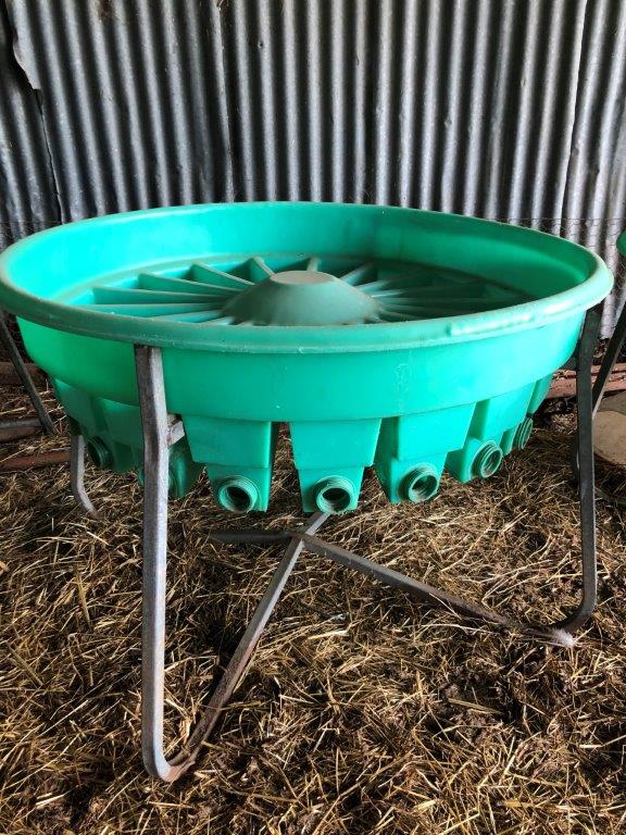 Lot 21 Round feeder 20 calf AuctionsPlus