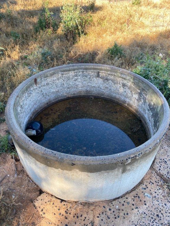 Lot 60 Round Cement Water Trough AuctionsPlus