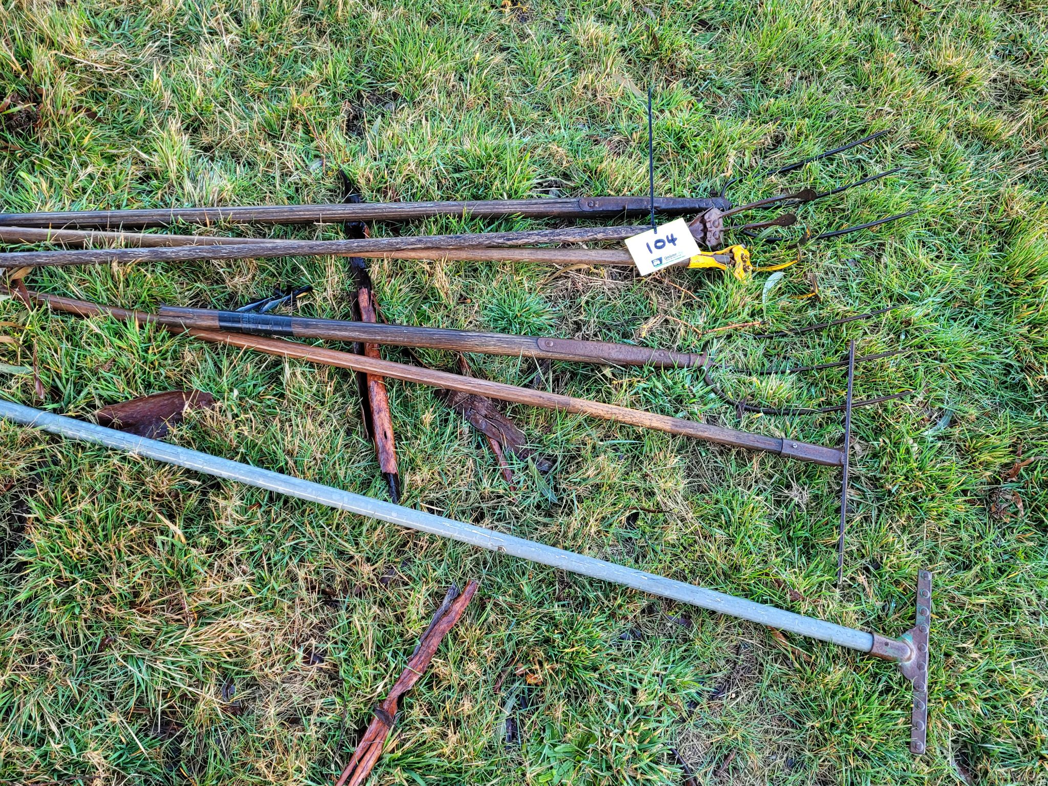 Lot 104 - Pitch Forks & Rakes | AuctionsPlus