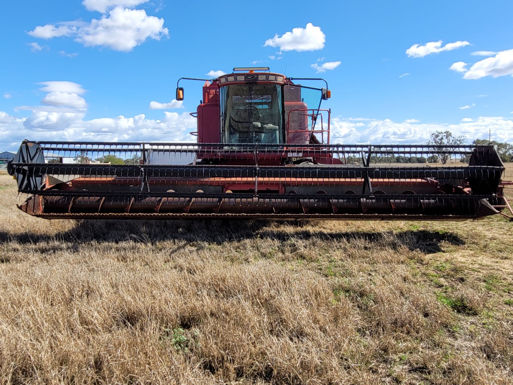 lot-21-1999-case-ih-2388-header-front-auctionsplus