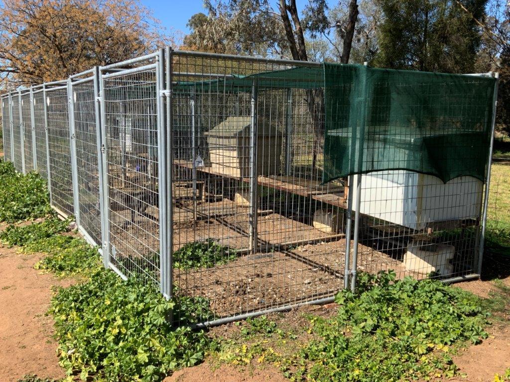 Lot 79 Dog cages 7bay AuctionsPlus