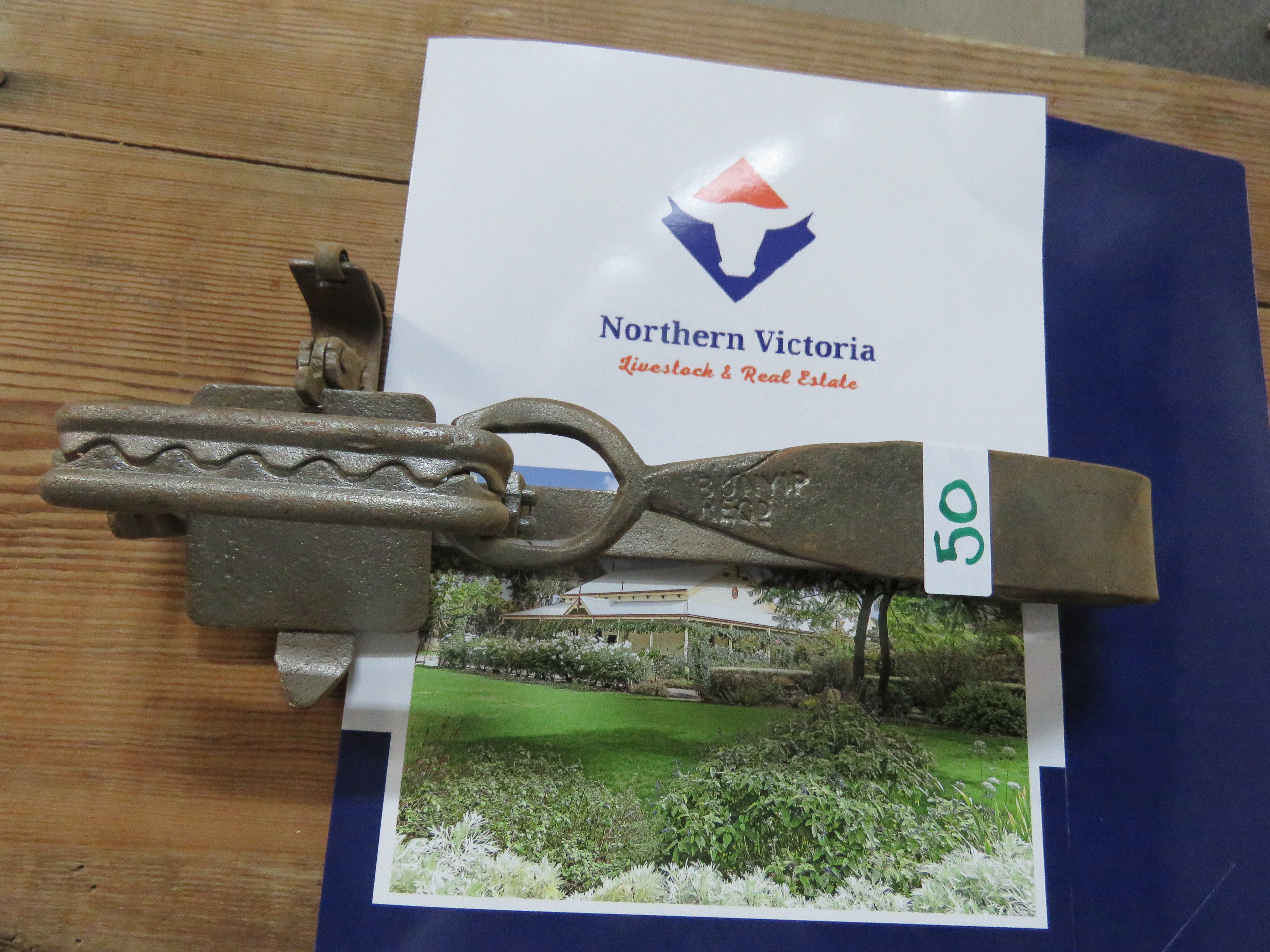 LOT 50 - RABBIT TRAP BUNYIP | AuctionsPlus