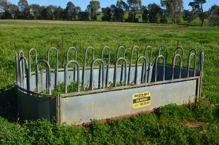 Lot 80 Hay Feeder AuctionsPlus