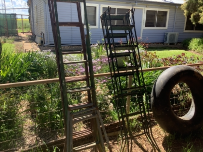 458 Ladder 58 - Ladders | AuctionsPlus
