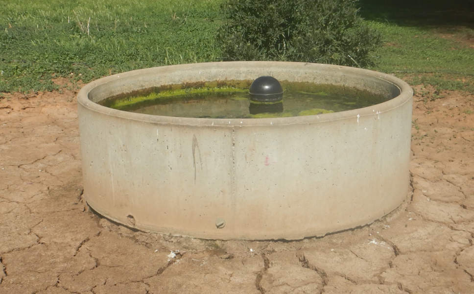 Lot 264 Concrete water trough AuctionsPlus