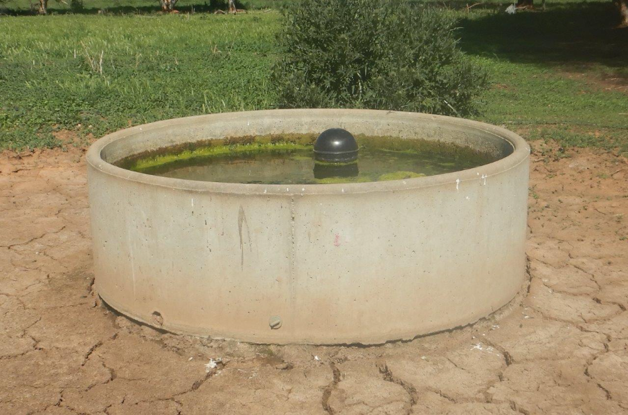 lot-271-concrete-water-trough-auctionsplus