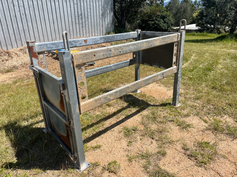 Lot 40 Horse crush AuctionsPlus