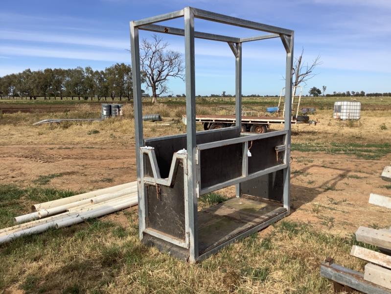 Lot 21 Horse Crush AuctionsPlus