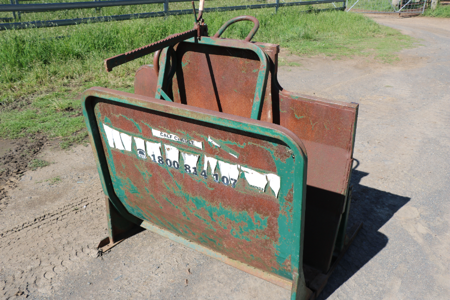 Lot 6 CALF CRADLE AuctionsPlus