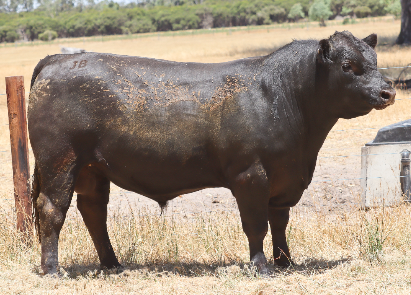 Salman R128 Lot 9 - J.B. LEADER R128 SV | AuctionsPlus