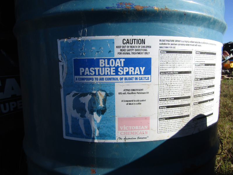 Lot 40 cattle Bloat oil AuctionsPlus