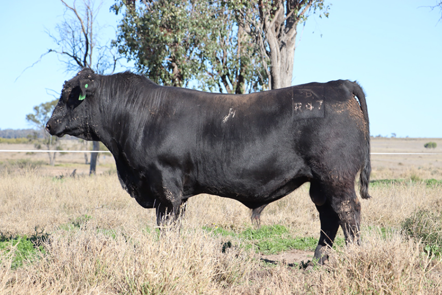 Lot 4 - BULLIAC R47 | AuctionsPlus