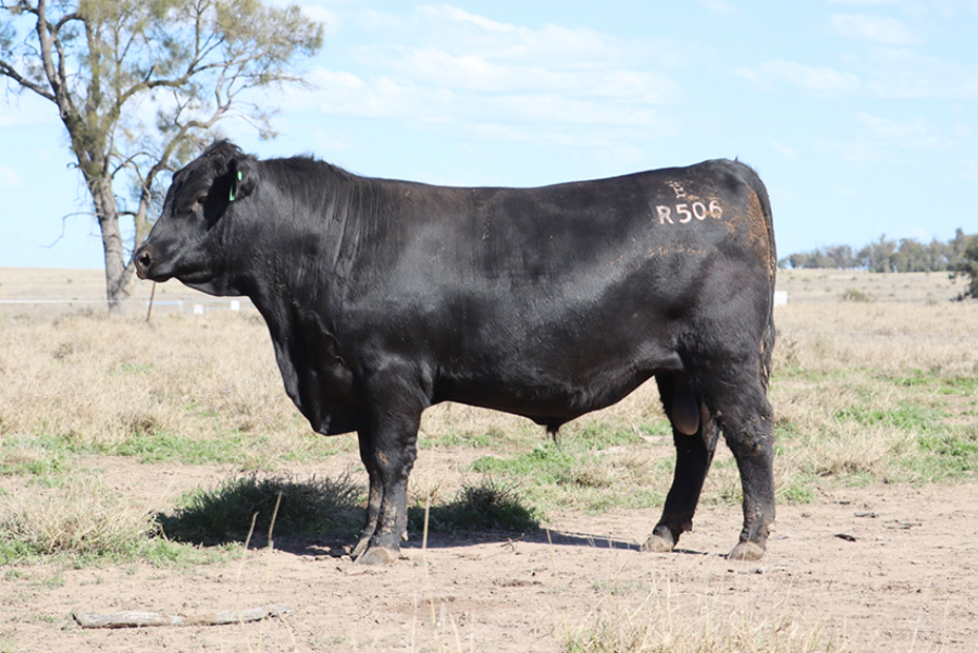 Lot 14 - BULLIAC R506 | AuctionsPlus