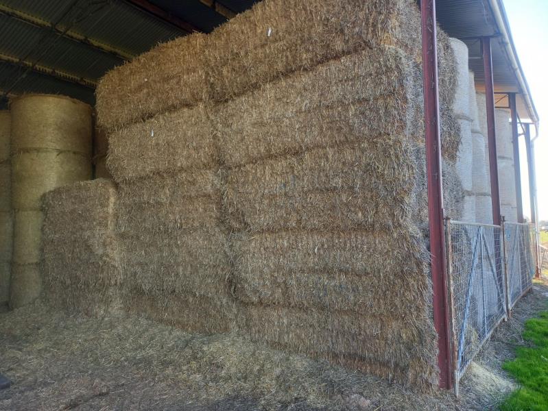 Lot 183 Hay Straw tailings 2020 season x 11 AuctionsPlus