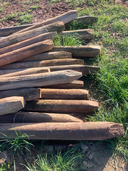 Lot 281 - 20x 8' x 6-8Inch Pointed Pine Posts #1 | AuctionsPlus