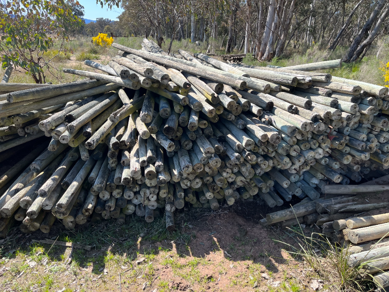 LOT 165 TREATED PINE POSTS AuctionsPlus