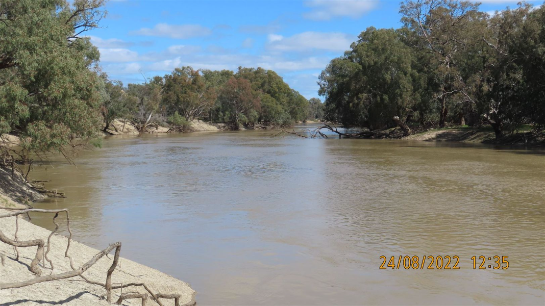 Lot 1 'East Weelong' Darling River Frontage AuctionsPlus