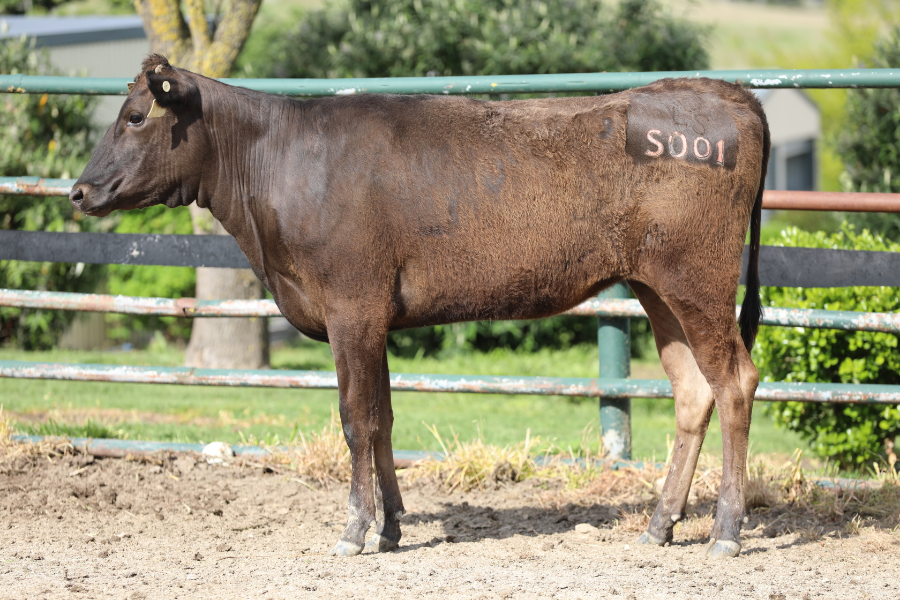 Lot 36 - LONGFORD S0001 (AI) | AuctionsPlus