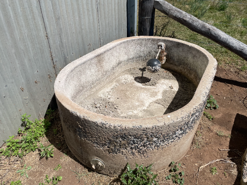 Lot 77 Concrete water trough AuctionsPlus