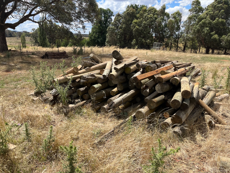 Lot 29 Treated Pine Posts AuctionsPlus