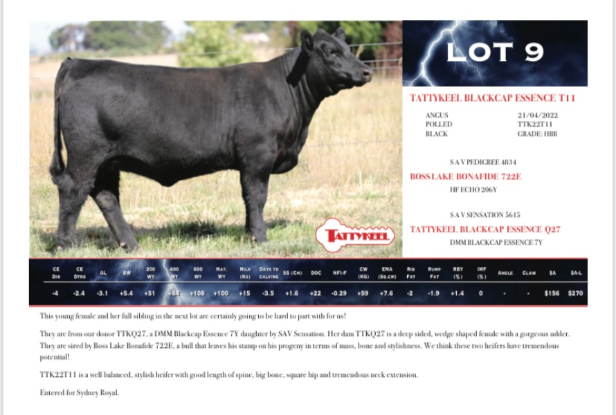 LOT 9 - TATTYKEEL BLACKCAP ESSENCE T11 | AuctionsPlus