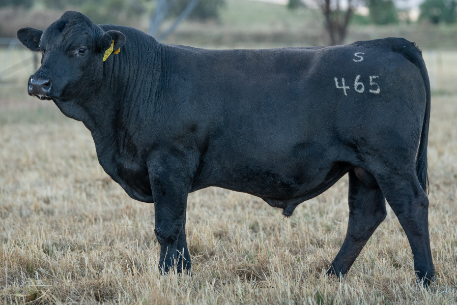 Lot 4 - ST PAULS Sidebottom S465 (PP) (AI) (B) | AuctionsPlus