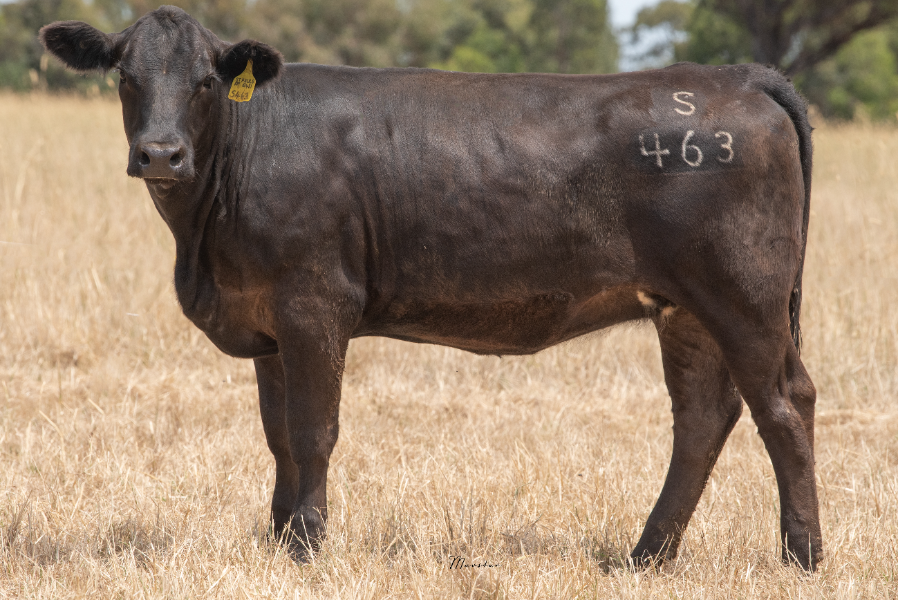 Lot 32 - ST PAULS AT Q431 Pear S463 (PP) (AI) (B) | AuctionsPlus