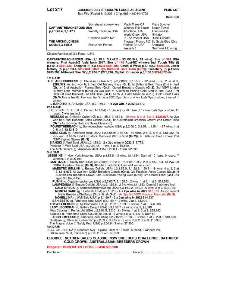 Lot 217 2021 Filly out of THE ARCHDUCHESS AuctionsPlus