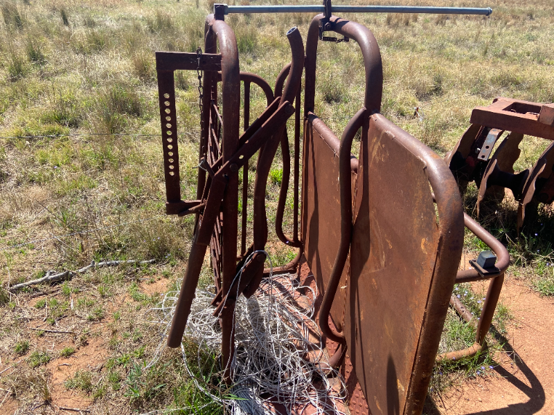 Lot 42 Calf Cradle AuctionsPlus