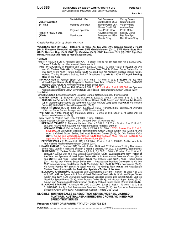 Lot 386 2021 Colt out of PRETTY PEGGY SUE AuctionsPlus